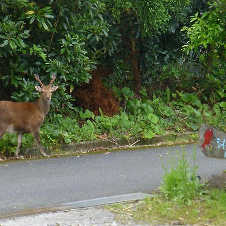 Tomarigi Hotell Yakushima  Exteriör bild